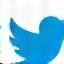 Twitter icon